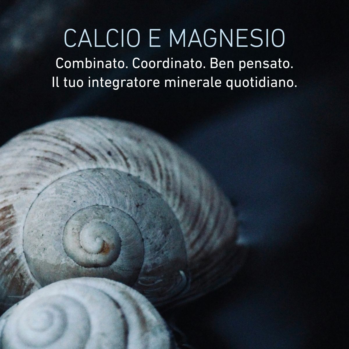 CalMaCit - Calcio e Magnesio Citrati