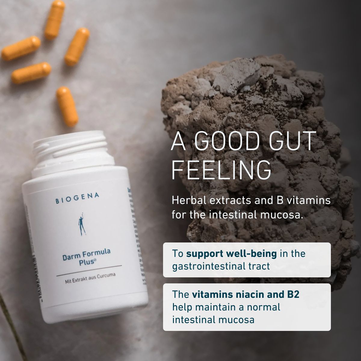 BIOGENA Darm Formula Plus bottle with orange capsules on a stone surface. Herbal extracts and B vitamins for gut well-being. Niacin and vitamin B2 help maintain normal mucous membranes, including the intestinal mucosa.
