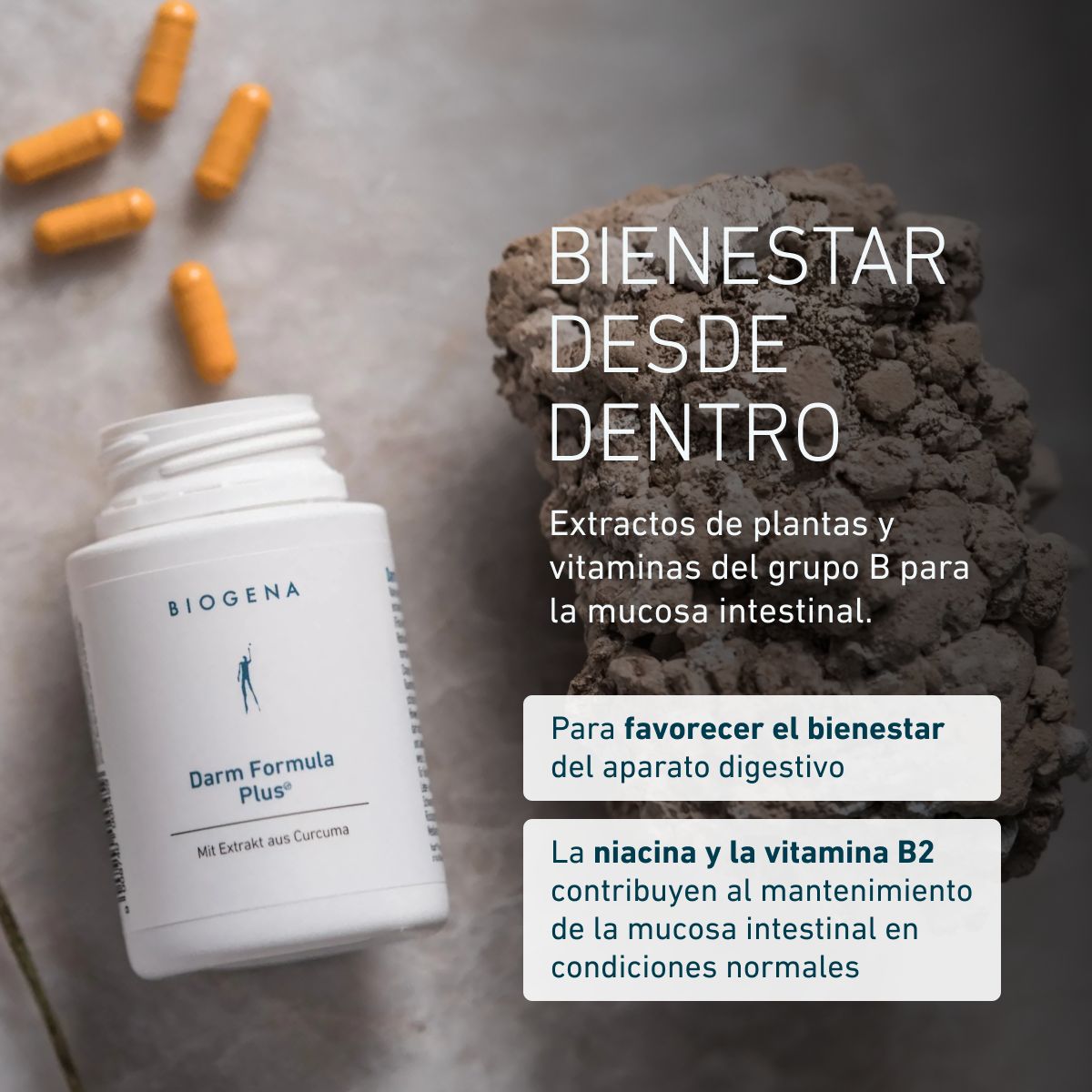 Fórmula Intestinal Plus