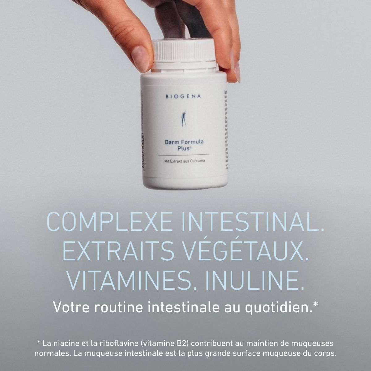 Formule Intestin Plus