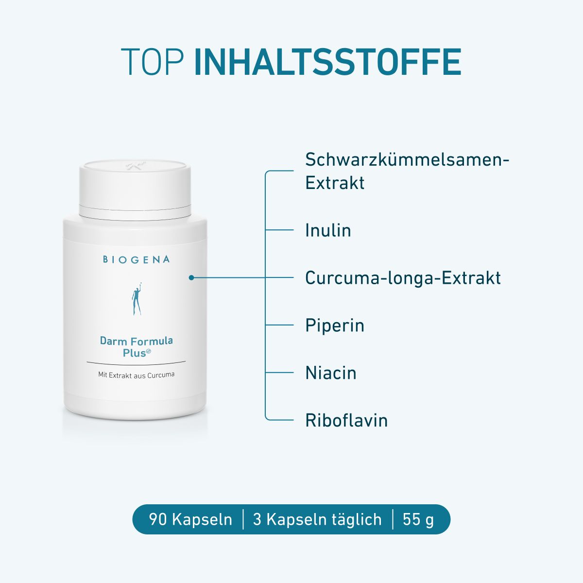 BIOGENA Darm Formula Plus® mit Schwarzkümmelsamen-Extrakt, Inulin, Curcuma-longa-Extrakt, Piperin, Niacin und Riboflavin. 90 Kapseln, 3 Kapseln täglich.