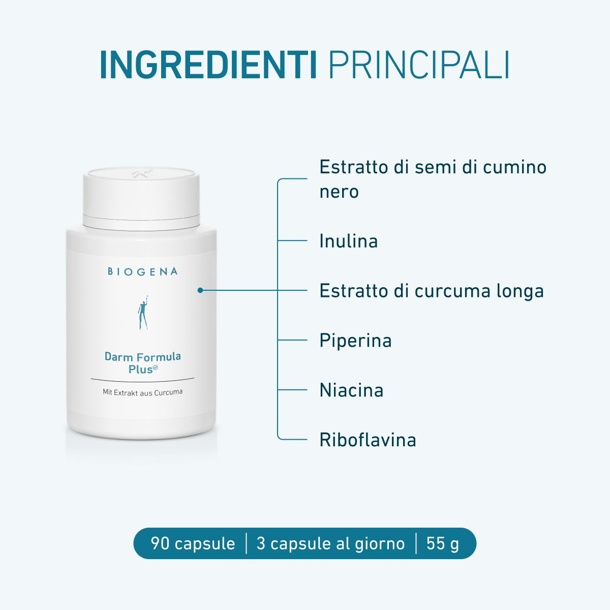 Formula Intestinale Plus