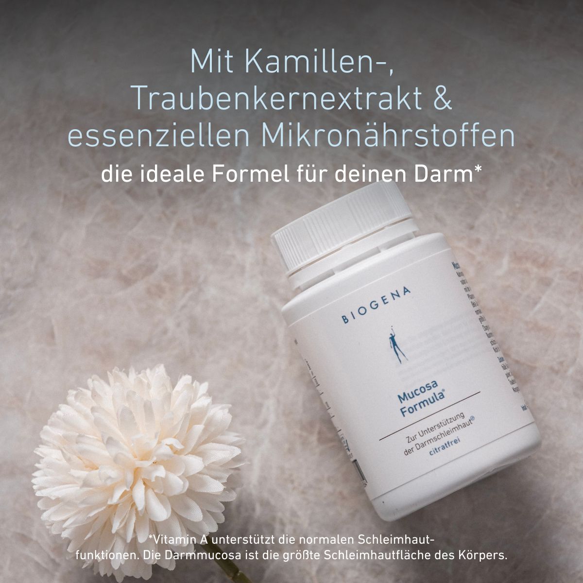 BIOGENA Mucosa Formula® mit Kamillen- und Traubenkernextrakt sowie essenziellen Mikronährstoffen. Vitamin A unterstützt die normale Funktion der Schleimhäute.