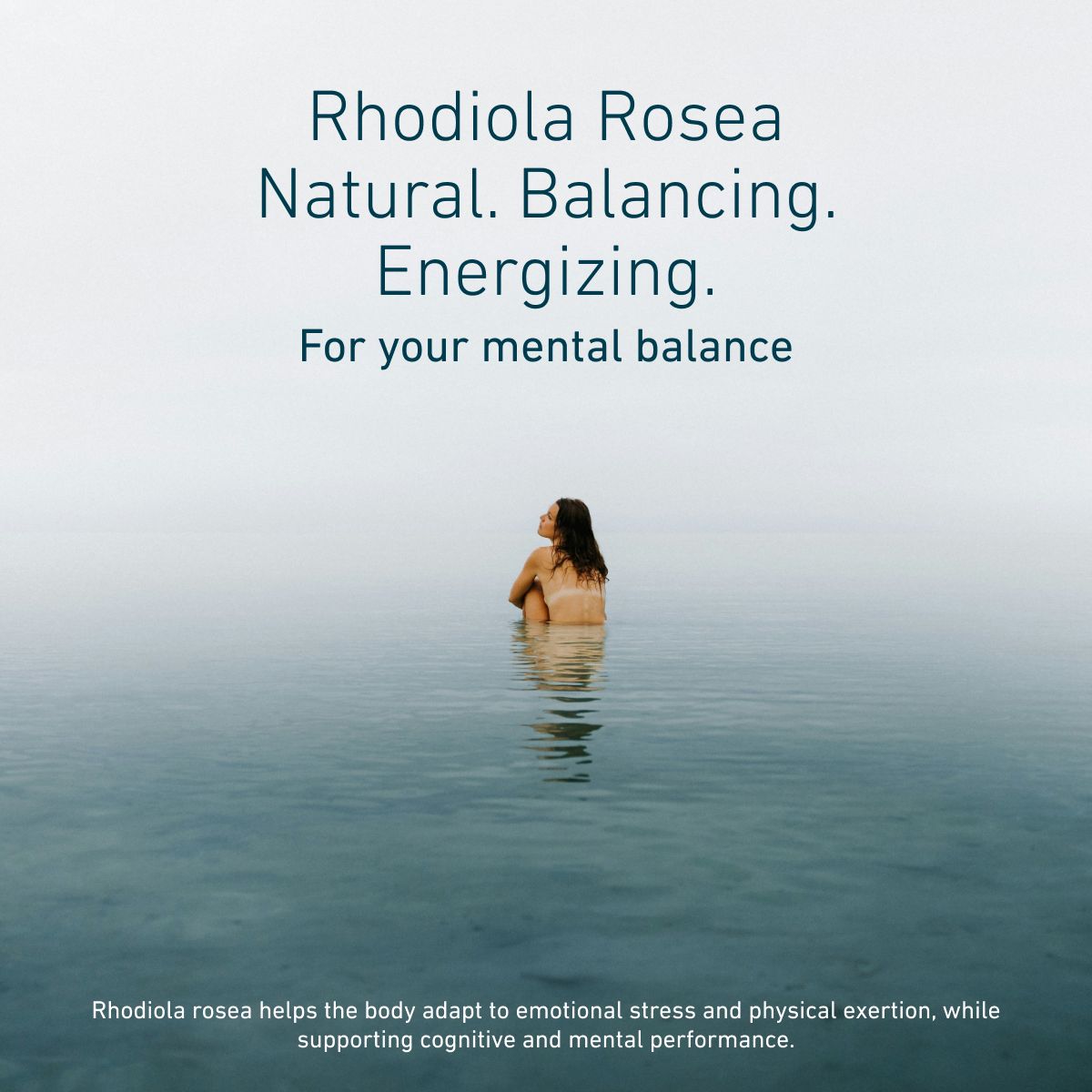 Rhodiola Rosea