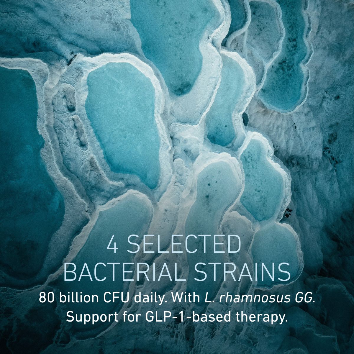 Omni Lactis® GLP-1 Companion