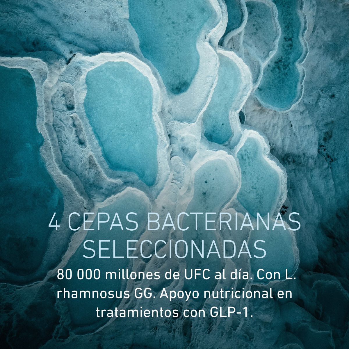 Omni Lactis® GLP-1 Companion