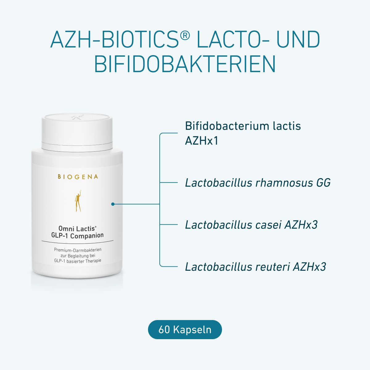 BIOGENA Omni Lactis® GLP-1 Companion avec quatre souches bactériennes : Bifidobacterium lactis AZHx1, Lactobacillus rhamnosus GG, Lactobacillus casei AZHx3 et Lactobacillus reuteri AZHx3. Boîte de 60 gélules.