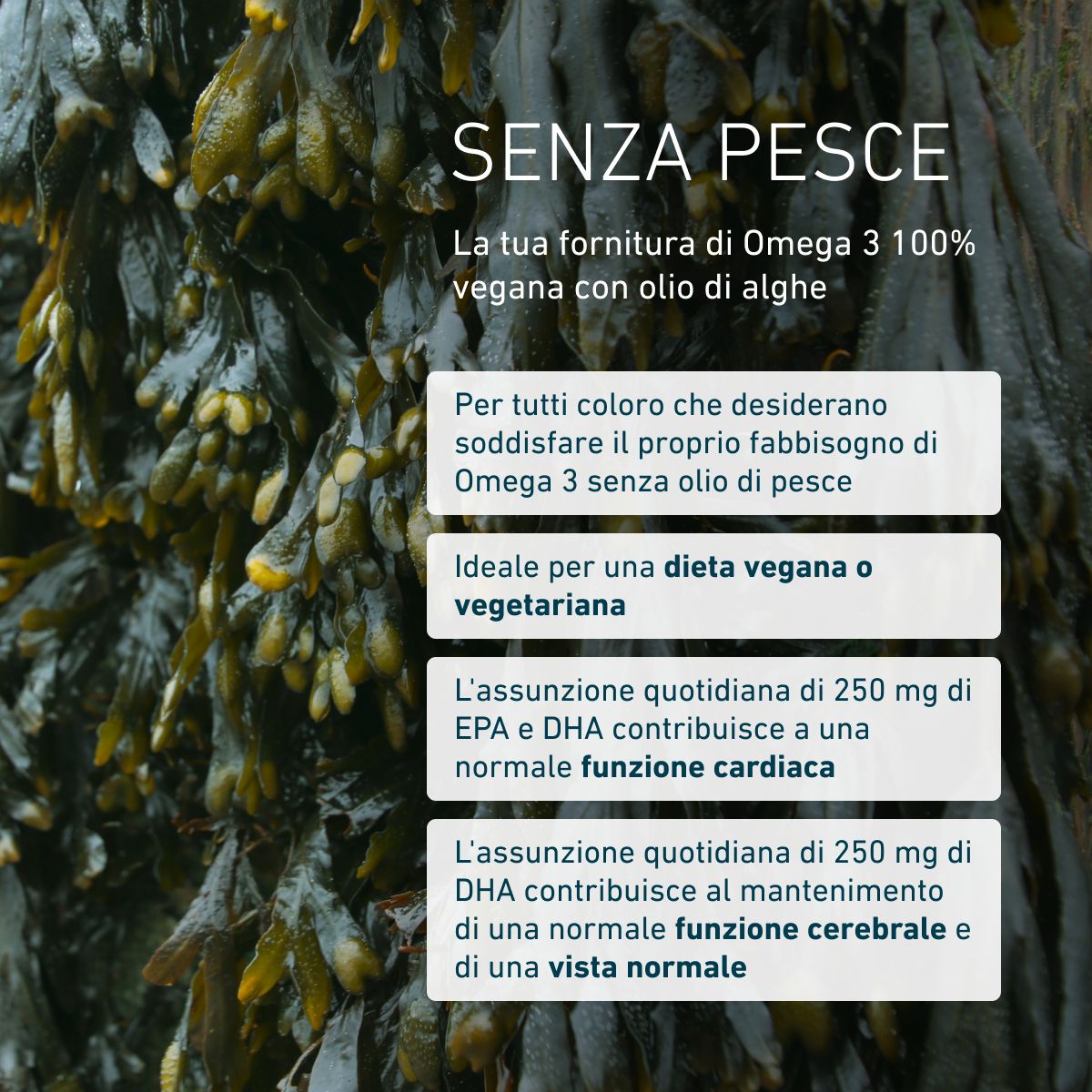 Omega 3 vegano DHA e EPA 2:1 