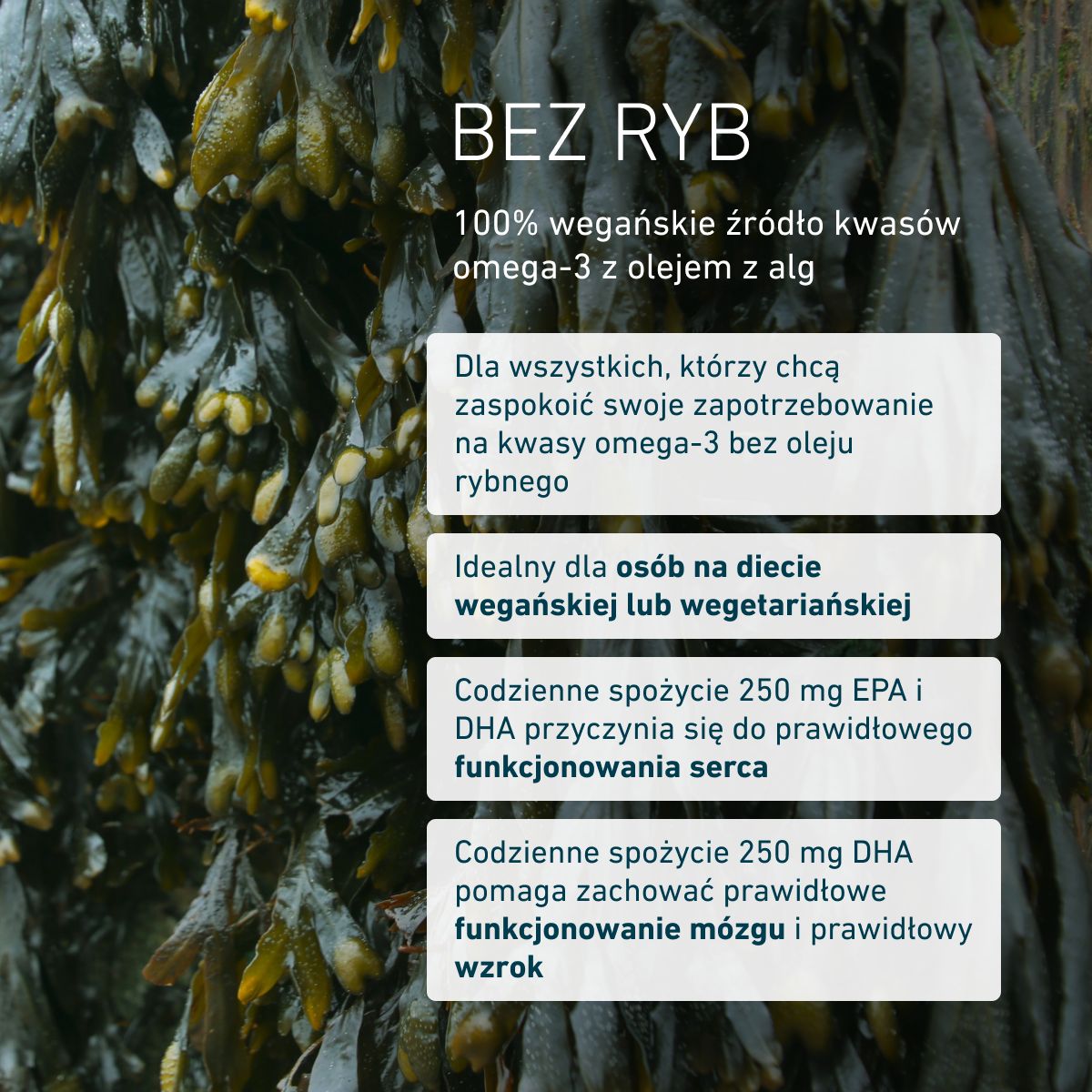 Omega 3 wegańskie DHA i EPA 450
