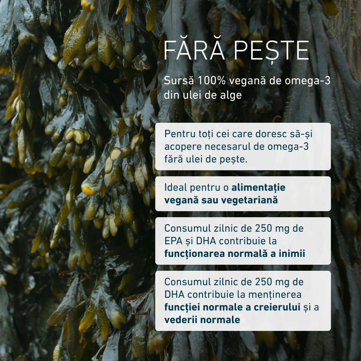 Omega 3 vegan DHA & EPA 450