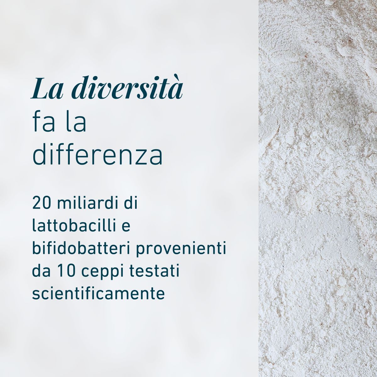 Grafica che evidenzia la varietà di BIOGENA Omni Lactis® 20 con 20 miliardi di lattobacilli e bifidobatteri provenienti da 10 ceppi selezionati.