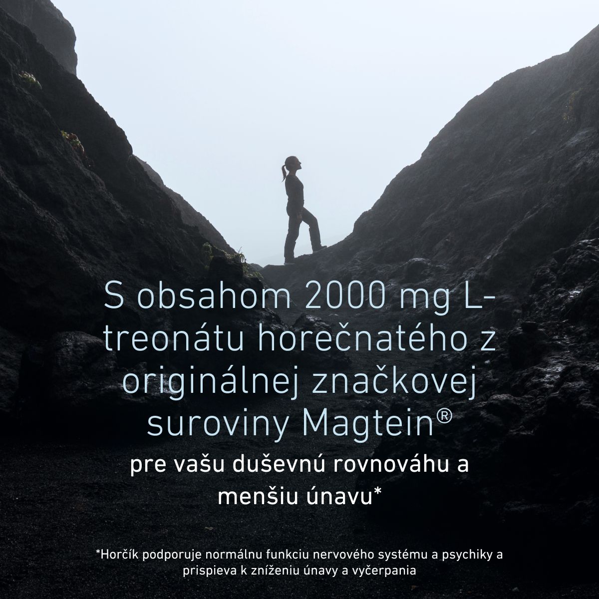 BIOGENA Magtein® s 2000 mg L-treonátu horečnatého z originálnej značkovej suroviny Magtein®. Horčík podporuje psychiku a nervový systém a prispieva k zníženiu únavy.