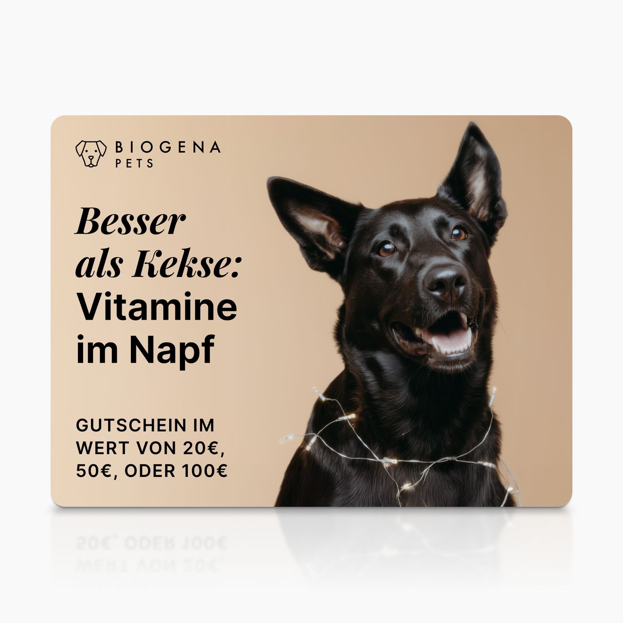 BIOGENA PETS Geschenkkarte, schwarzer Hund, Lichterkette, beiger Hintergrund, Text