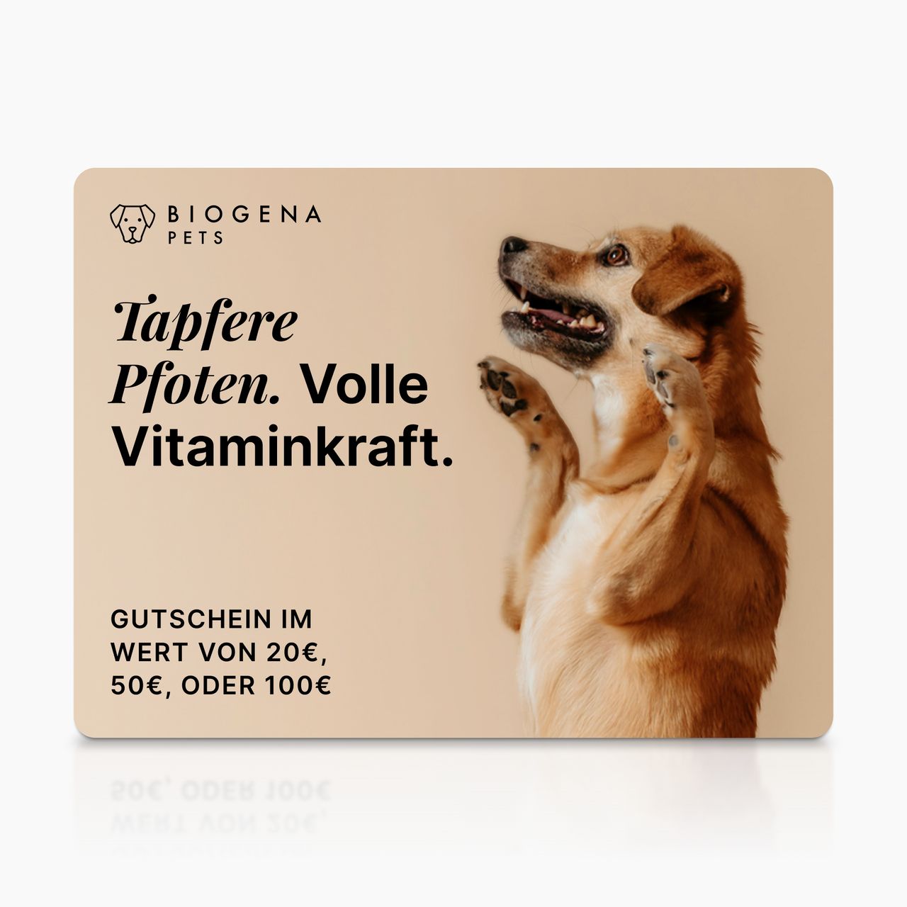 BIOGENA PETS Geschenkkarte, Hund mit erhobenen Pfoten, Text, beiger Hintergrund
