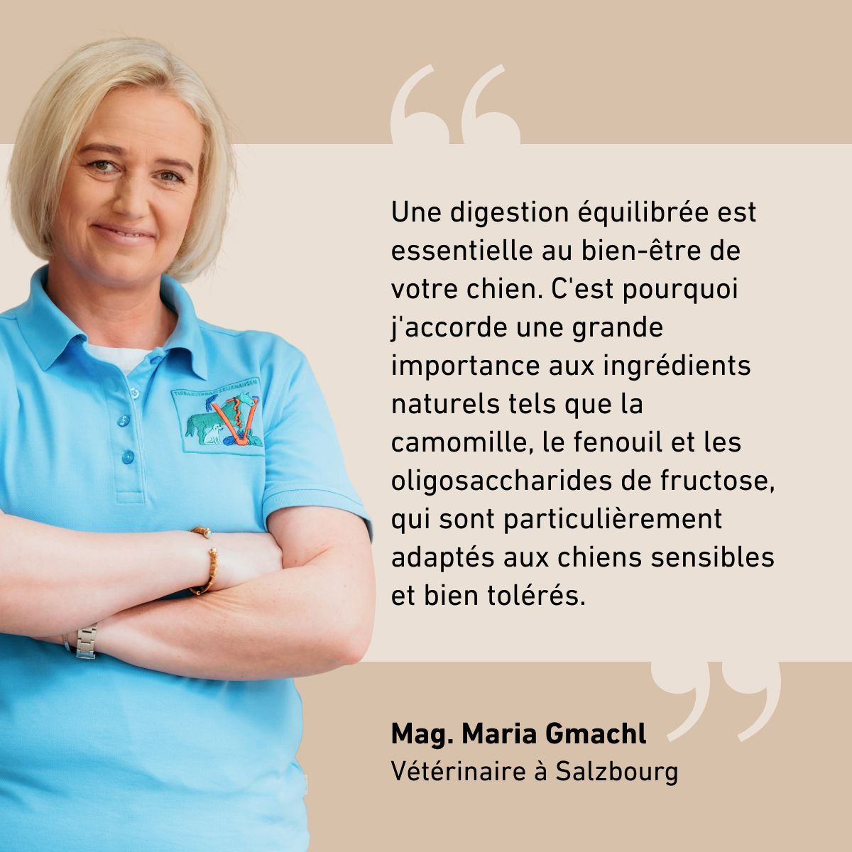 Gouttes digestives