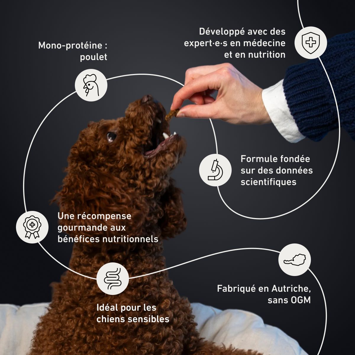 Friandises pour les articulations