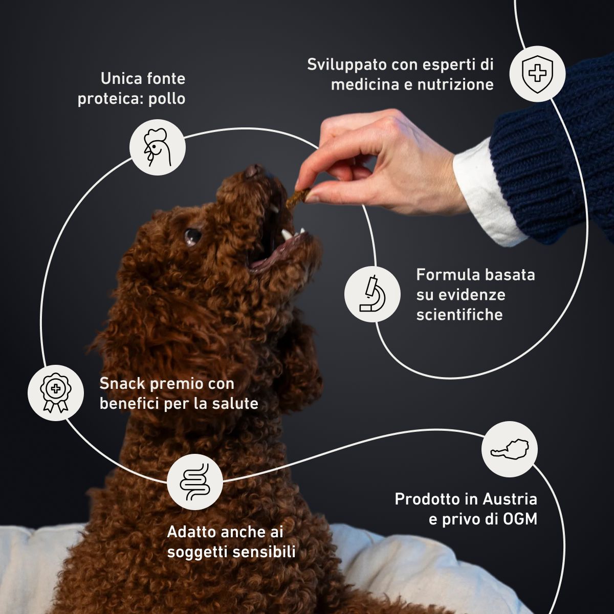 Cane che riceve uno snack BIOGENA PETS per le articolazioni, a base di pollo, sviluppato con esperti e adatto ai cani sensibili.