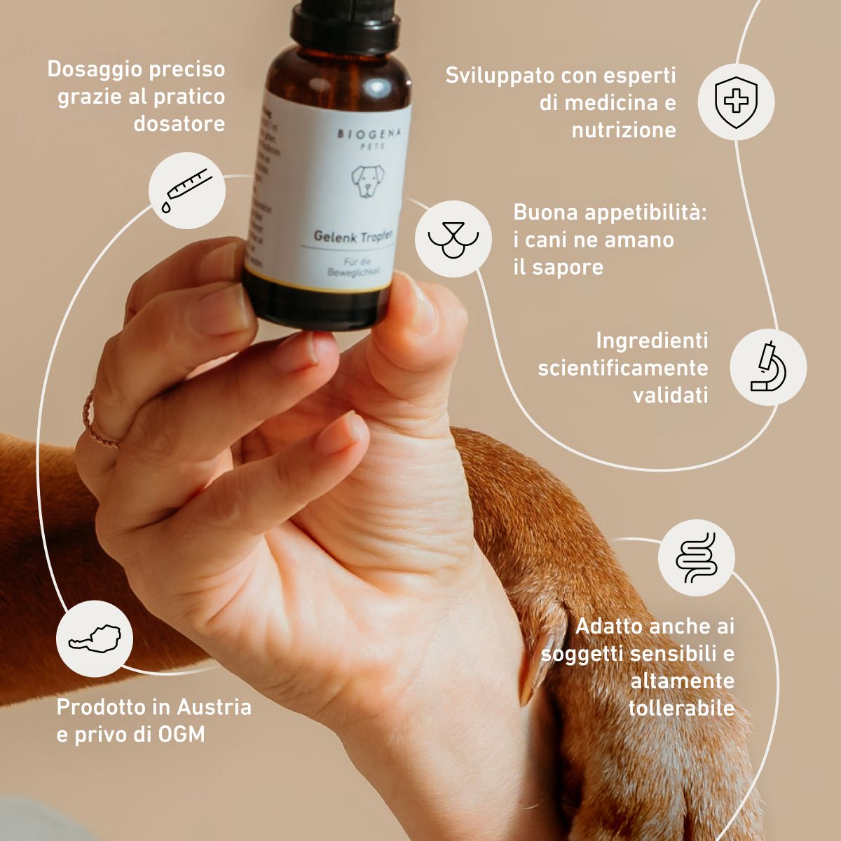 Gocce BIOGENA PETS per le articolazioni con i loro vantaggi: dosaggio preciso, ingredienti scientificamente validati, alta digeribilità e produzione in Austria.