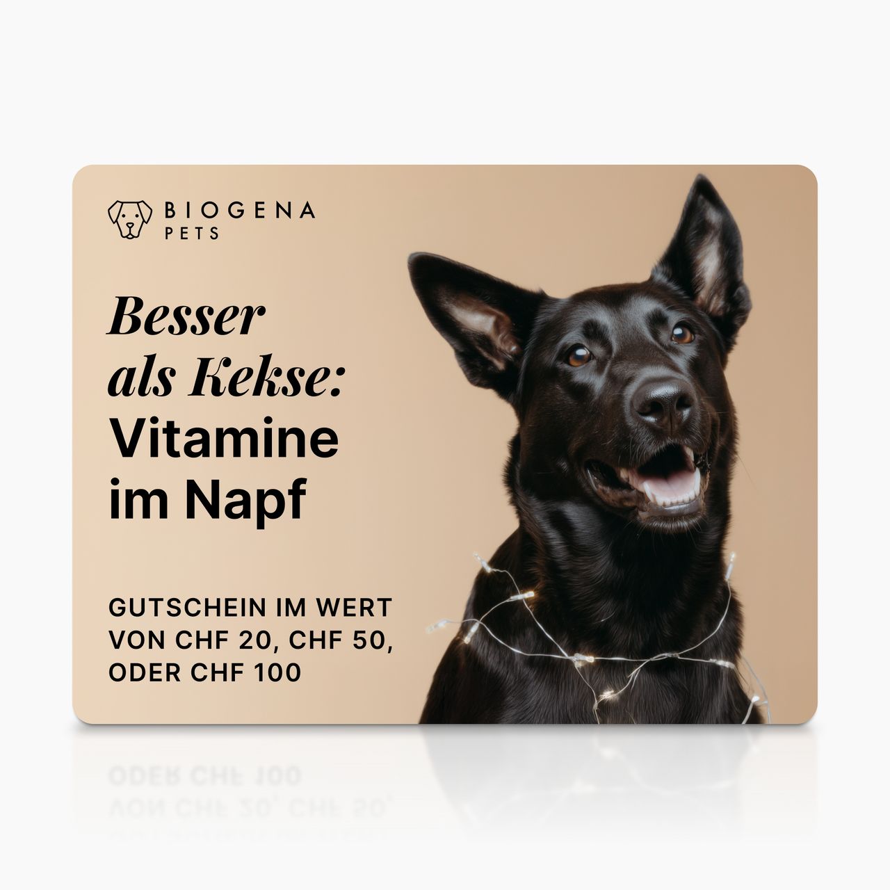 Biogena Pets Geschenkgutschein Karte, schwarzer Hund, Lichterkette, beige Hintergrund, Text