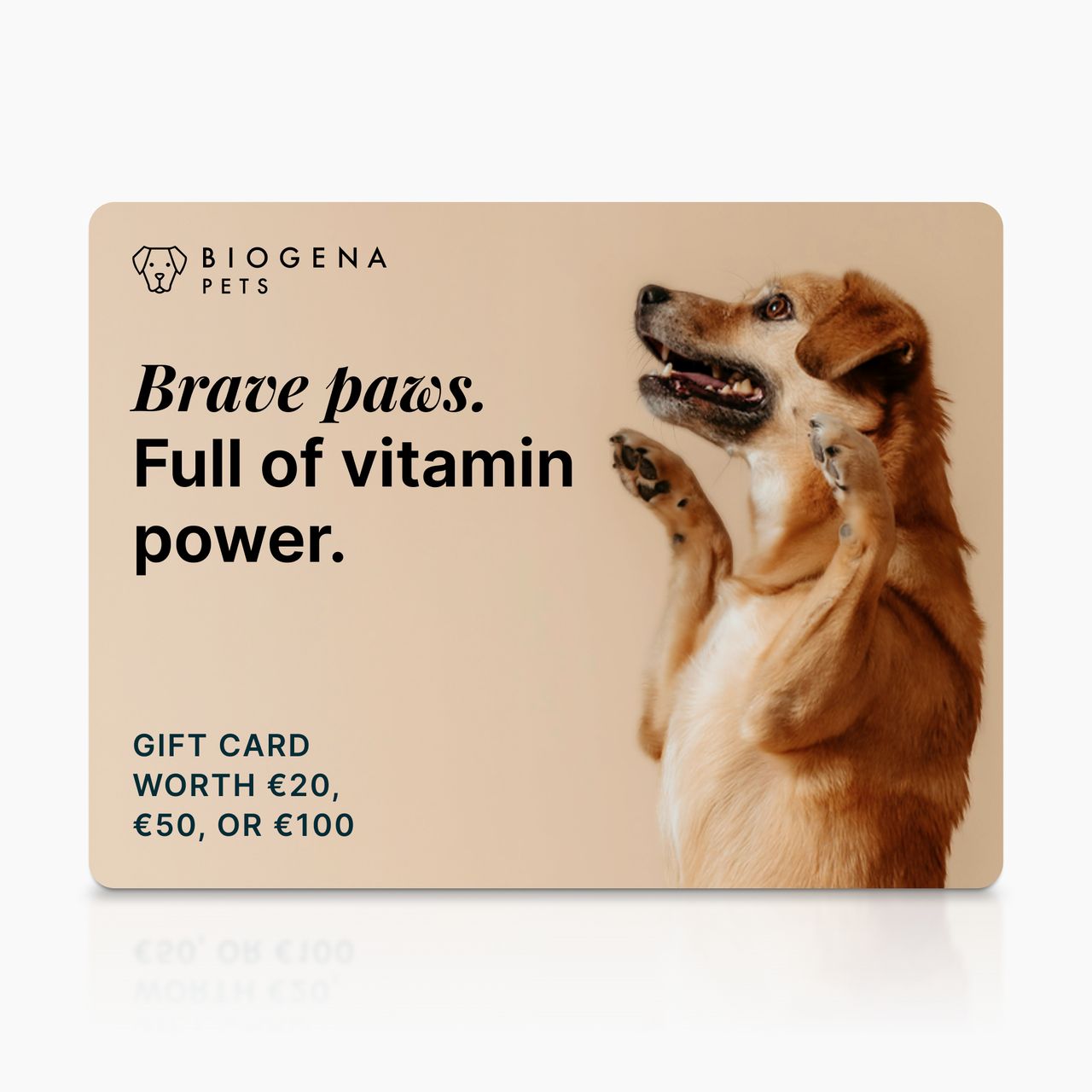 BIOGENA PETS gift card, dog with raised paws, text, beige background