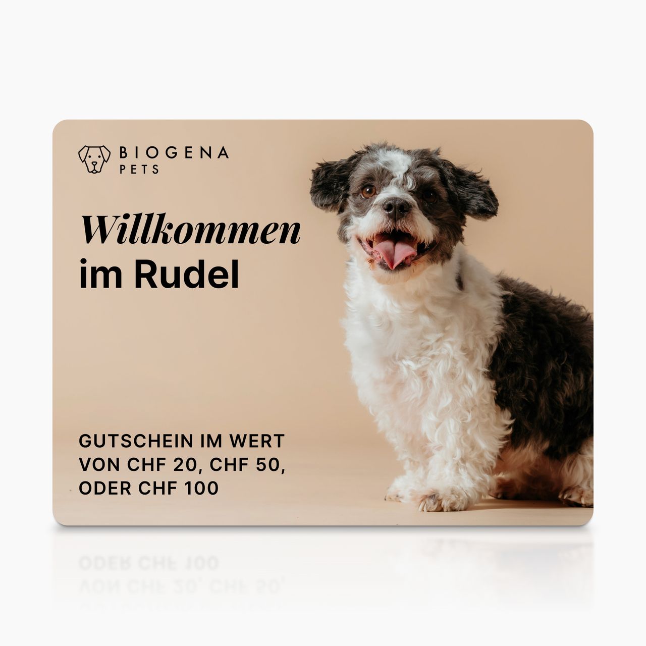 BIOGENA PETS Geschenkkarte, Hund, Text Willkommen im Rudel, Gutschein CHF 20 50 100