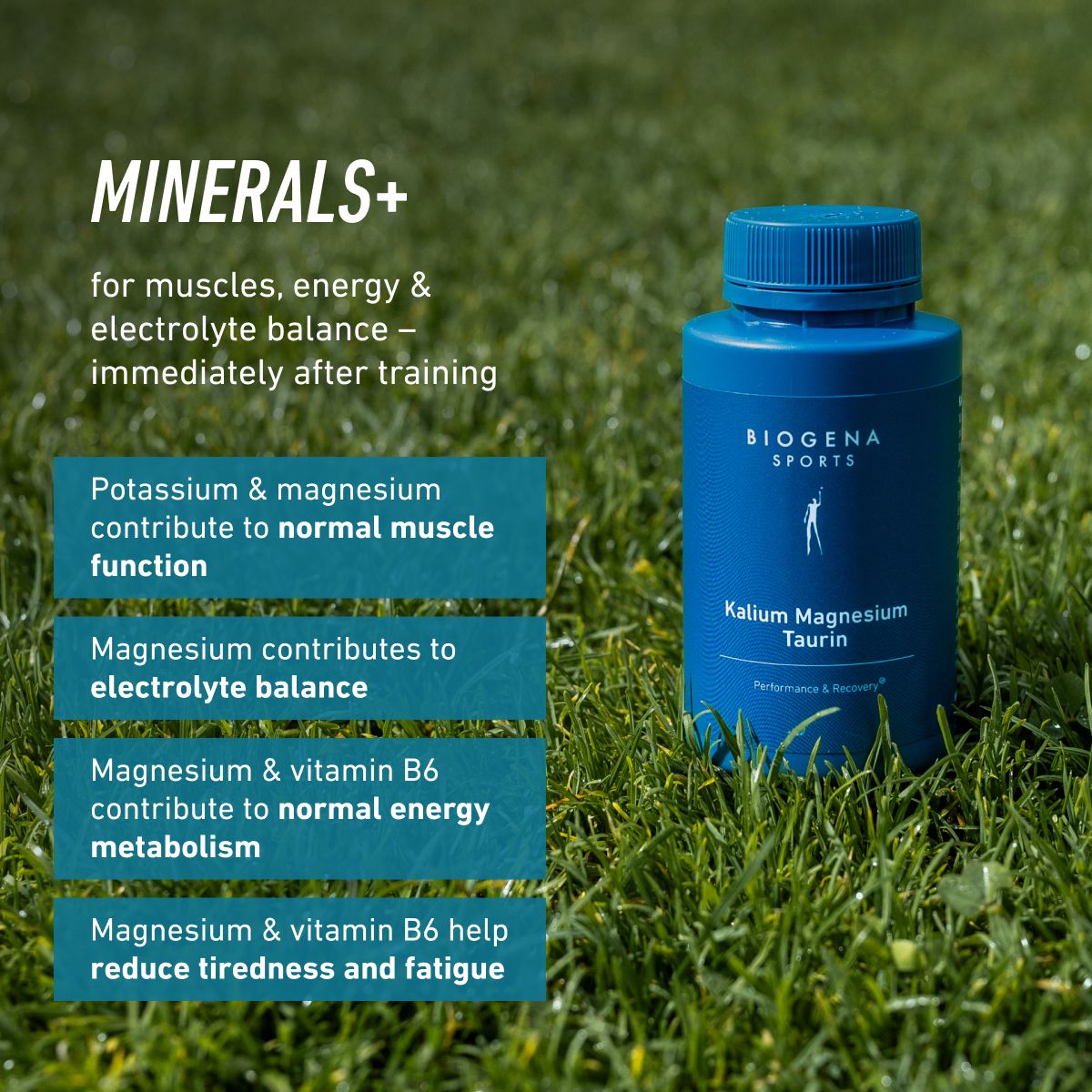 Potassium Magnesium Taurine B6