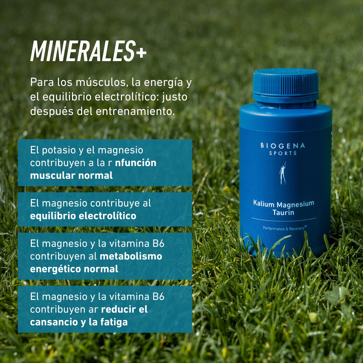Potasio Magnesio Taurina B6