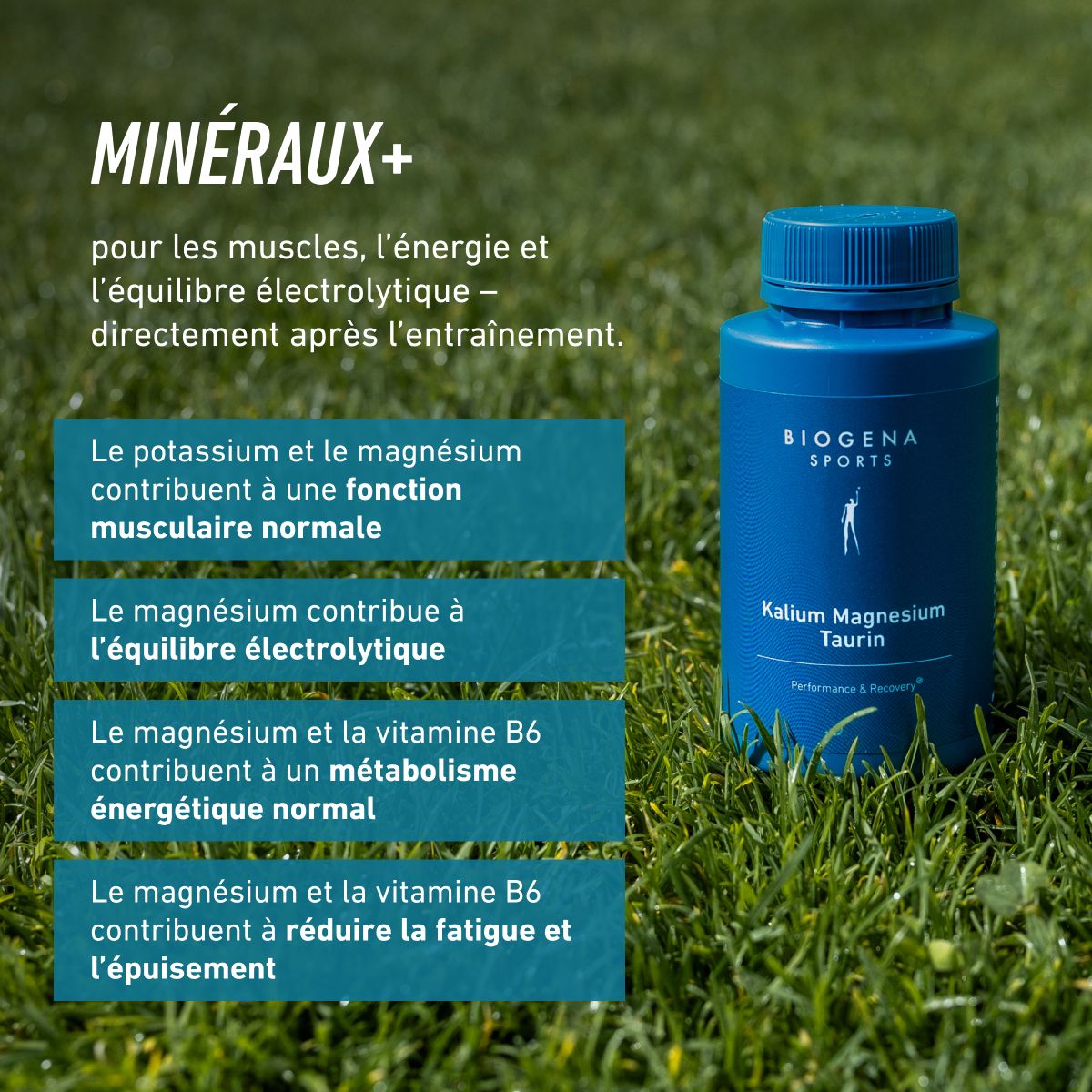 Potassium Magnésium Taurine B6
