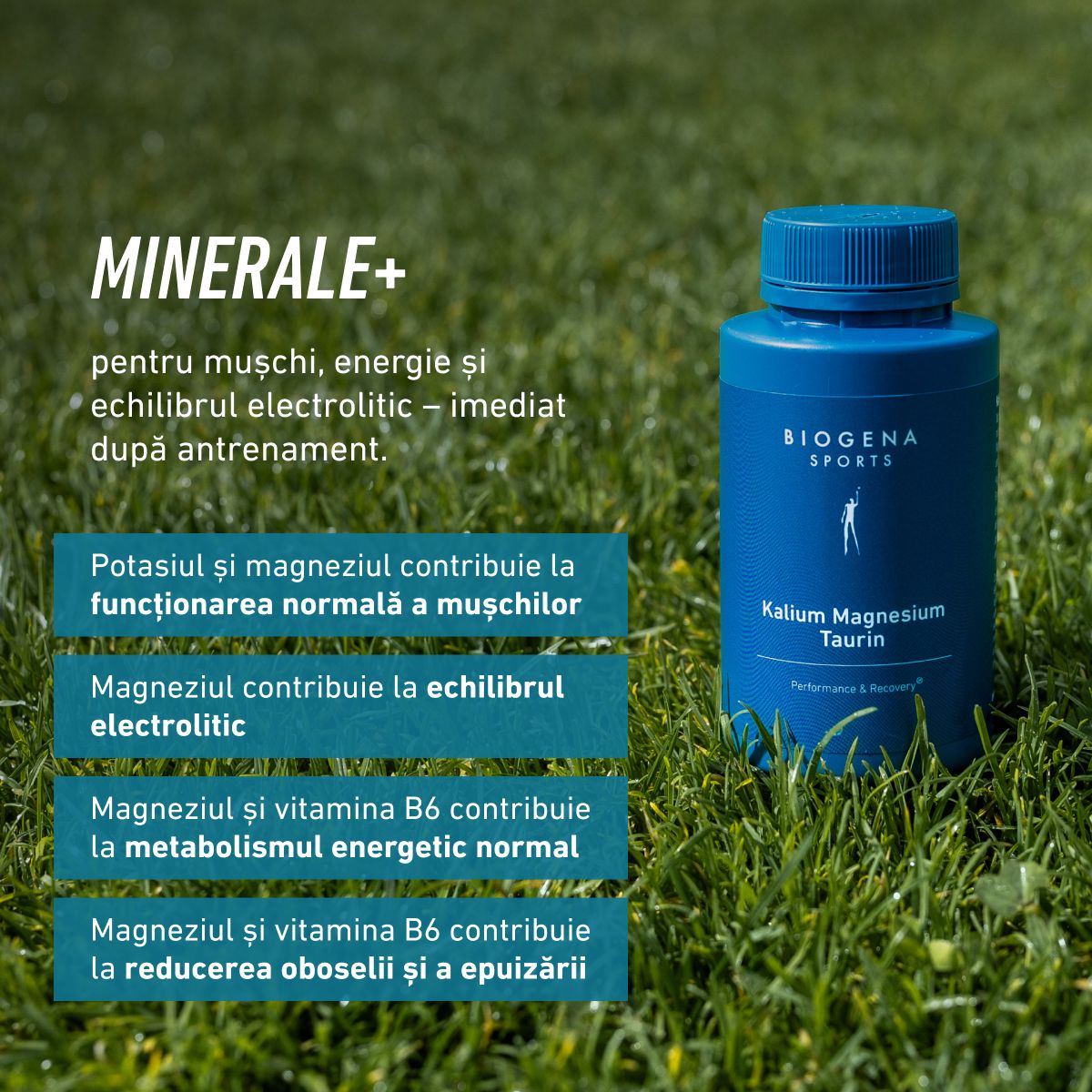Potasiu Magneziu Taurină