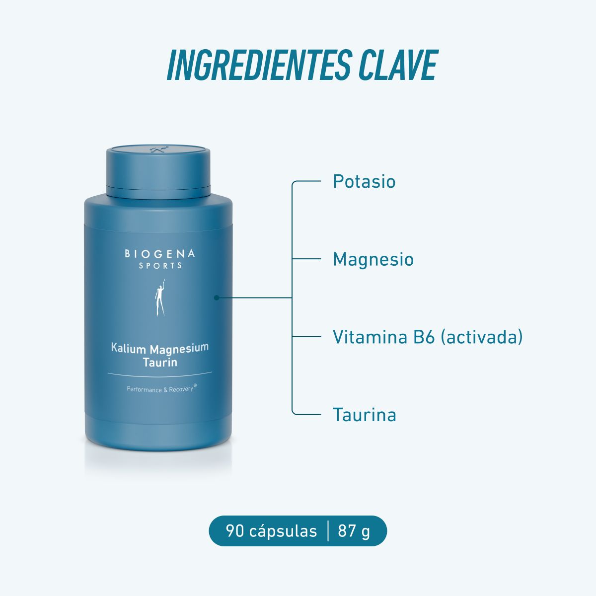 Potasio Magnesio Taurina B6