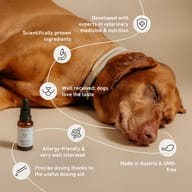 Biogena Pets Relax Tropfen dropper bottle, brown dog lying, collar, icons, text