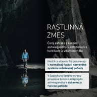 Osoba v tmavej jaskyni. BIOGENA Ashwagandha Formula kombinuje čistý extrakt z koreňa ašvagandy s horčíkom a vitamínom B6, ktoré prispievajú k normálnemu fungovaniu nervového systému a psychiky.