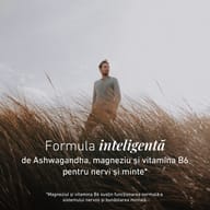 Ashwagandha Formula