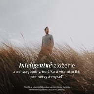 Muž v prírodnej krajine s vysokou trávou. BIOGENA Ashwagandha Formula kombinuje ašvagandu, horčík a vitamín B6 na podporu normálneho fungovania nervového systému a psychiky.