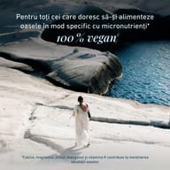 Osteo Caldebor® vegan