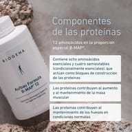 Complejo de aminoácidos Fórmula B-Map® 12