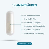 BIOGENA Aufbau Formula B-MAP® 12 mit 12 Aminosäuren, darunter L-Leucin, L-Glutamin, L-Lysin, L-Valin, L-Arginin und L-Tryptophan. Packung mit 120 Kapseln und 88 g Inhalt.