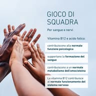 Diverse mani unite simboleggiano il lavoro di squadra. Vitamina B12 e acido folico contribuiscono alla funzione psicologica, alla formazione del sangue e al metabolismo dell’omocisteina; la B12 sostiene il sistema nervos