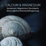 Nahaufnahme von Schneckenhäusern. Calcium und Magnesium als abgestimmte Kombination für die tägliche Mineralstoffergänzung.