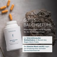 BIOGENA Darm Formula Plus® mit Pflanzenextrakten und B-Vitaminen. Niacin und Vitamin B2 tragen zur Erhaltung normaler Schleimhäute bei und unterstützen so die Darmschleimhaut.