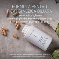Flacon deschis BIOGENA Formula pentru ficat și bilă, cu capsule pe o suprafață de piatră. Conține armurariu, anghinare, păpădie și ghimbir. Armurariul contribuie la menținerea funcției hepatice.