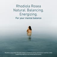 Rhodiola Rosea
