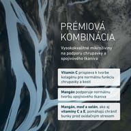 Grafika predstavuje prémiovú kombináciu mikroživín na podporu chrupavky a spojivového tkaniva. Vitamín C podporuje tvorbu kolagénu, mangán tvorbu spojivového tkaniva a antioxidanty pomáhajú chrániť bunky pred oxidačným s