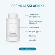 Arthro Formula ® 4 Gold