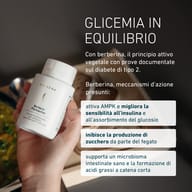 BIOGENA Berberin Phytoactive per l’equilibrio glicemico: La berberina può influire sulla sensibilità all’insulina, sull’assorbimento del glucosio, sulla produzione di zuccheri e sul microbiota intestinale.