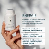 BIOGENA Ubiquinol CoQ10 100 mg vegan cu coenzima Q10 activă și vitaminele B2 și E pentru energie și protecția celulelor.