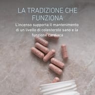 Capsule rosa di MiraCHOL® 3.0 con estratto di incenso, che favorisce il mantenimento di livelli sani di colesterolo e la funzione cardiaca.