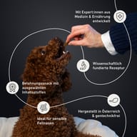 Brauner Hund erhält ein Leckerli aus der Hand. Belohnungssnack mit wissenschaftlich fundierter Rezeptur, entwickelt mit Expert:innen aus Medizin und Ernährung. Ideal für sensible Hunde, hergestellt in Österreich und gent