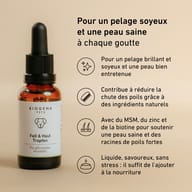 Gouttes Pelage et Peau