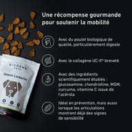Friandises pour les articulations